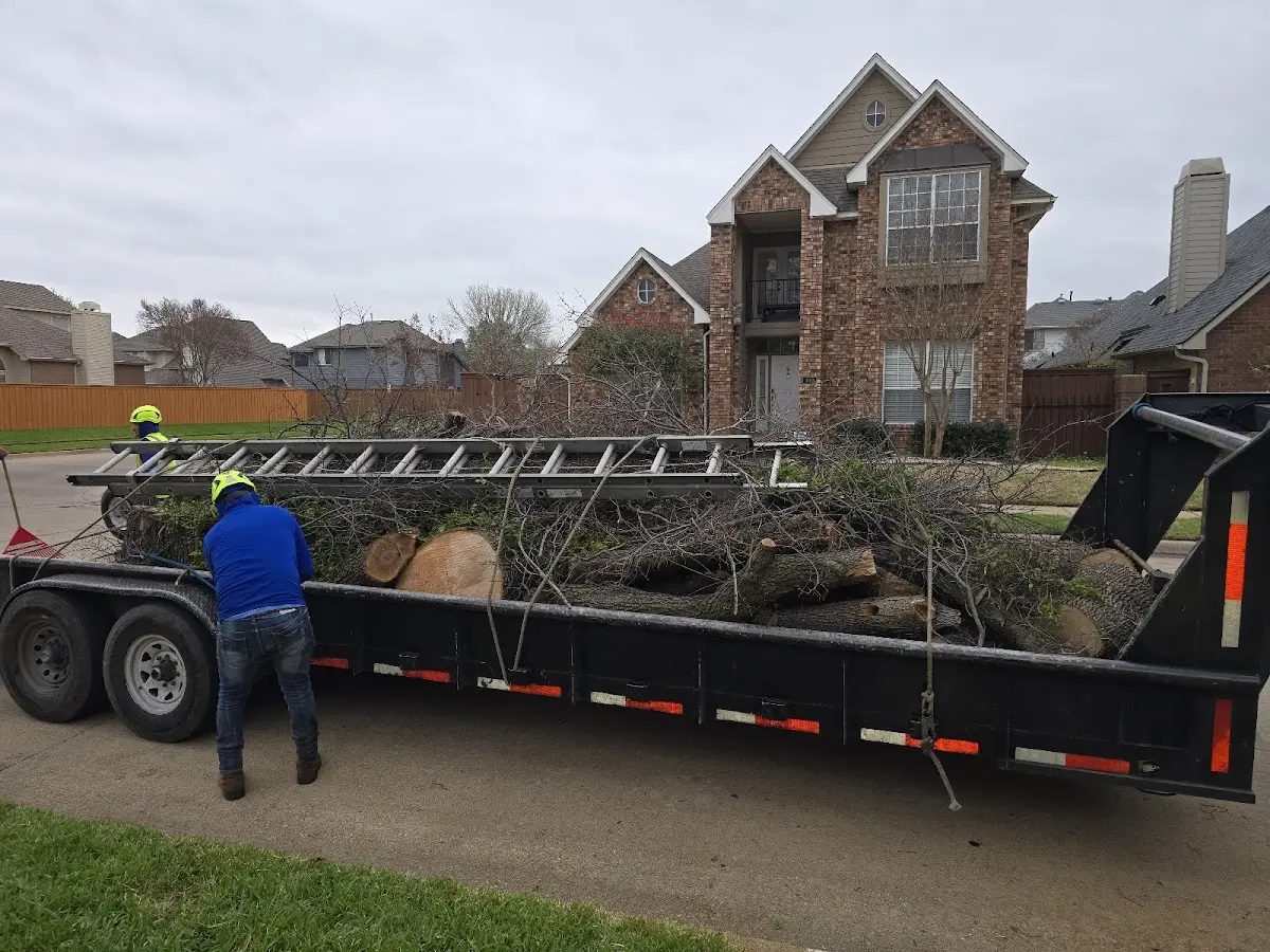 Expert Tree Removal with proper safety equipment in Mc Causland
